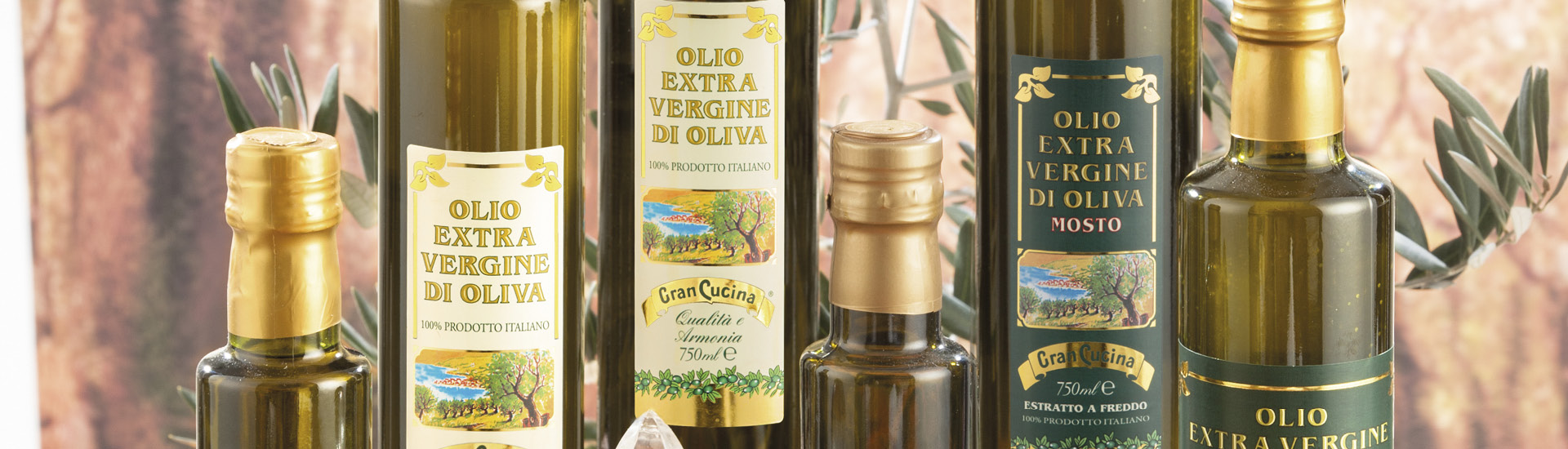 Gran Cucina L’Olio Extravergine: Oro sui  tuoi Piatti